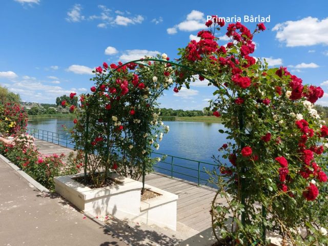 Baza de agrement Prodana vă așteaptă la relaxare