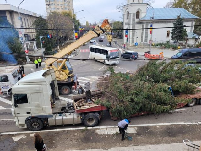 Și anul acesta, bradul de Crăciun le-a fost dăruit bârlădenilor de un cetățean al orașului/VIDEO