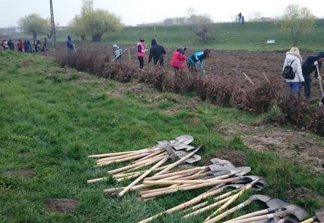 Începe campania de plantări în Grădina Publică!