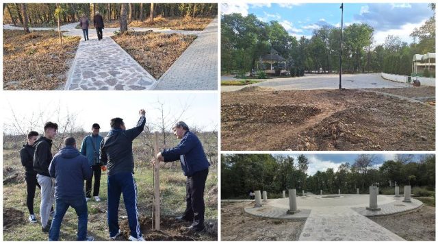 Începe reamenajarea peisagistică a Grădinii Publice. Primăria Bârlad va planta aproape 1.000 de puieți de arbori și arbuști. Orice bârlădean are ocazia de a-și planta propriul copac în străvechea oază verde a urbei
