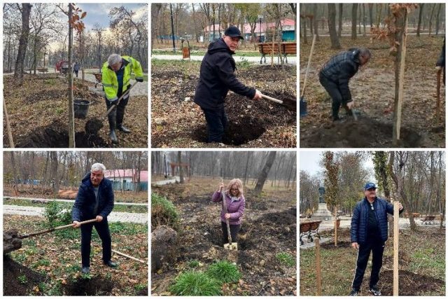 Campania de plantare în Grădina Publică, în plină desfășurare. Programul a fost extins și în timpul săptămânii
