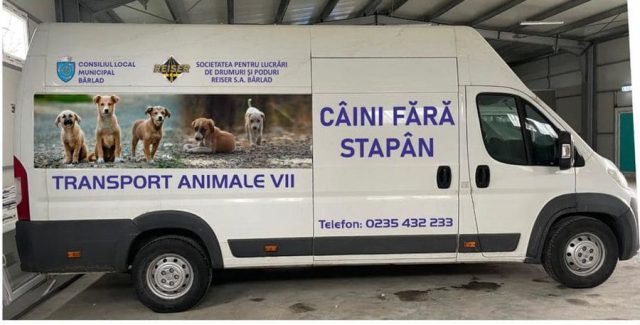 Incidente la capturarea câinilor fără stăpân la Bârlad. Lucrătorii REISER sunt atacați cu pietre de protectorii haitelor care mișună pe străzile orașului
