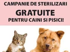 O nouă campanie de sterilizare gratuită a patrupedelor