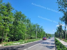 Șoseaua Griviței, reabilitată și modernizată