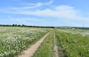 Alte loturi de casă pentru tinerii din Bârlad. Iată lista!