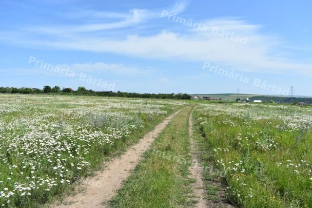Alte loturi de casă pentru tinerii din Bârlad. Iată lista!