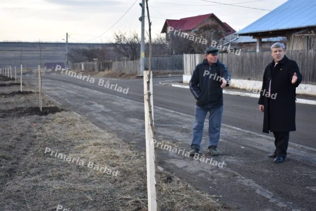 Zestrea verde a Bârladului bate un nou record