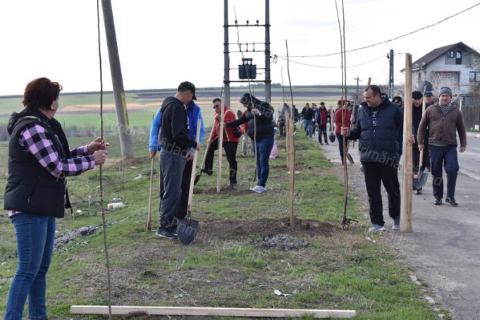 plantare-puieti- 2019 (4)_rezultat