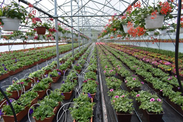 Sere dotate cu tehnologie la standarde europene, la Bârlad