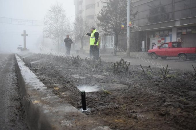 sistem-irigare-inteligent (4)_rezultat