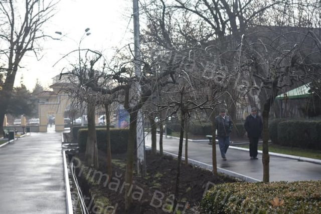 Lucrări în desfășurare la început de an