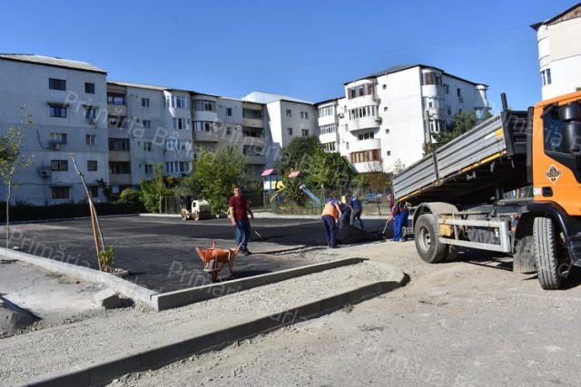 Lucrări în desfășurare pe domeniul public al Bârladului