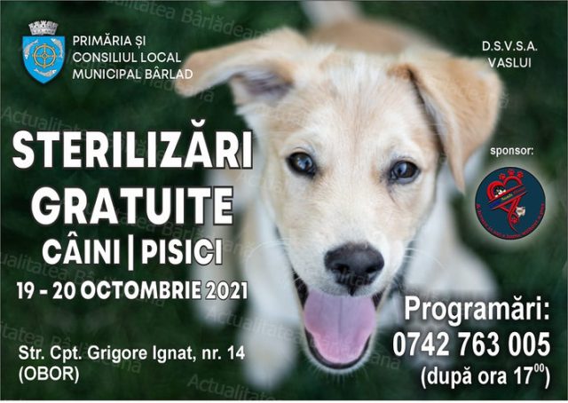 Sterilizări gratuite pentru câini și pisici
