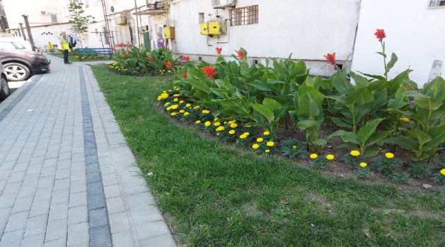 A început reamenajarea și punerea în valoare a spațiilor dintre blocuri