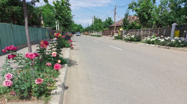 Strada Gheorghe Doja, astăzi