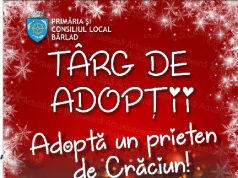Târg de adopții de Crăciun