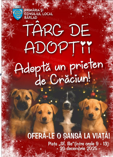 adopta-afis_rezultat