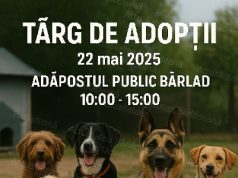 Târg de adopții la Adăpostul Public