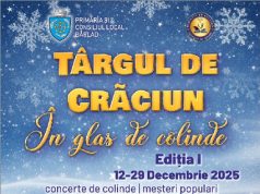 Târgul de Crăciun ”În glas de colindă”, ediția I