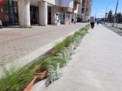 (Galerie foto) Transformare spectaculoasă a pietonalului din zona Blocului tineretului