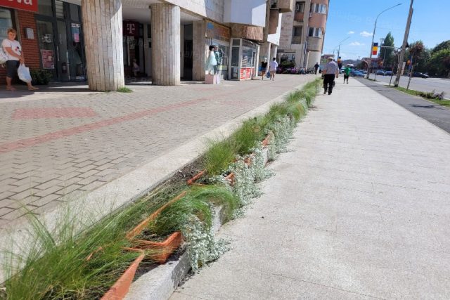 (Galerie foto) Transformare spectaculoasă a pietonalului din zona Blocului tineretului